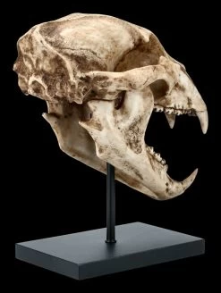Schwarzbär Totenkopf Auf Metall Ständer -Modell Und Figurengeschäft FS21621 Schwarzbaer Totenkopf auf Metall Staender 5 1280x1280