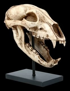 Schwarzbär Totenkopf Auf Metall Ständer -Modell Und Figurengeschäft FS21621 Schwarzbaer Totenkopf auf Metall Staender 7 1280x1280
