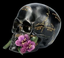Schwarzer Totenkopf Mit Beschriftung Und Blume 7 Schwarzer Totenkopf Mit Beschriftung Und Blume -Modell Und Figurengeschäft FS21660 Totenkopf mit Blume 3 1280x1280