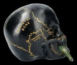 Schwarzer Totenkopf Mit Beschriftung Und Blume 9 Schwarzer Totenkopf Mit Beschriftung Und Blume -Modell Und Figurengeschäft FS21660 Totenkopf mit Blume 8 1280x1280