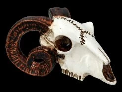 Alchemy Widderschädel - Klein