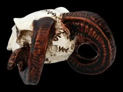 Alchemy Widderschädel - Klein 9 Alchemy Widderschädel - Klein -Modell Und Figurengeschäft FS21894 Alchemy Widderschaedel klein 6 1280x1280