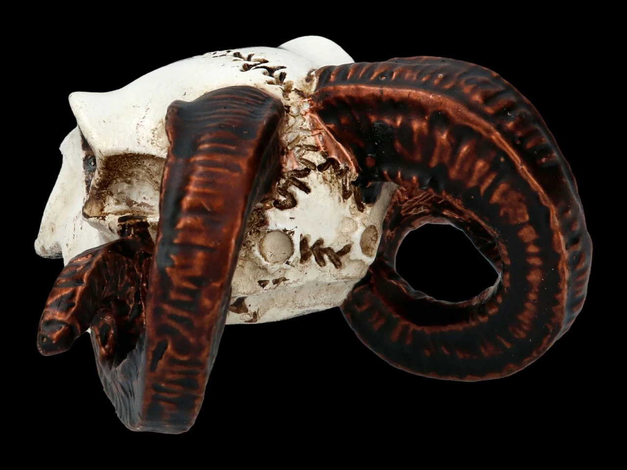 Alchemy Widderschädel - Klein 4 Alchemy Widderschädel - Klein – Bild 4