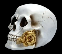 Weißer Totenkopf Mit Rose - Floral Fate -Modell Und Figurengeschäft FS22277 Weisser Totenkopf mit Rose Floral Fate 3zfsEQVYnaKAsP 1280x1280