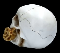 Weißer Totenkopf Mit Rose - Floral Fate -Modell Und Figurengeschäft FS22277 Weisser Totenkopf mit Rose Floral Fate 5 1280x1280