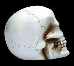 Weißer Totenkopf Mit Rose - Floral Fate -Modell Und Figurengeschäft FS22277 Weisser Totenkopf mit Rose Floral Fate 8 1280x1280