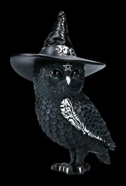 NEMESIS NOW Eulen Figur - Hexe Owlocen -Modell Und Figurengeschäft FS22437 Eulen Figur Hexe Owlocen 1 1280x1280