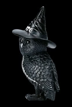 NEMESIS NOW Eulen Figur - Hexe Owlocen -Modell Und Figurengeschäft FS22437 Eulen Figur Hexe Owlocen 3 1280x1280