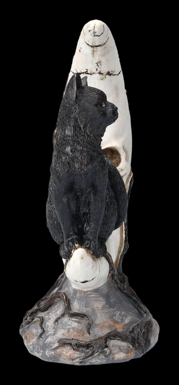 Totenkopf Mond Mit Schwarzer Katze 5 Totenkopf Mond Mit Schwarzer Katze – Bild 5