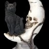 Totenkopf Mond Mit Schwarzer Katze