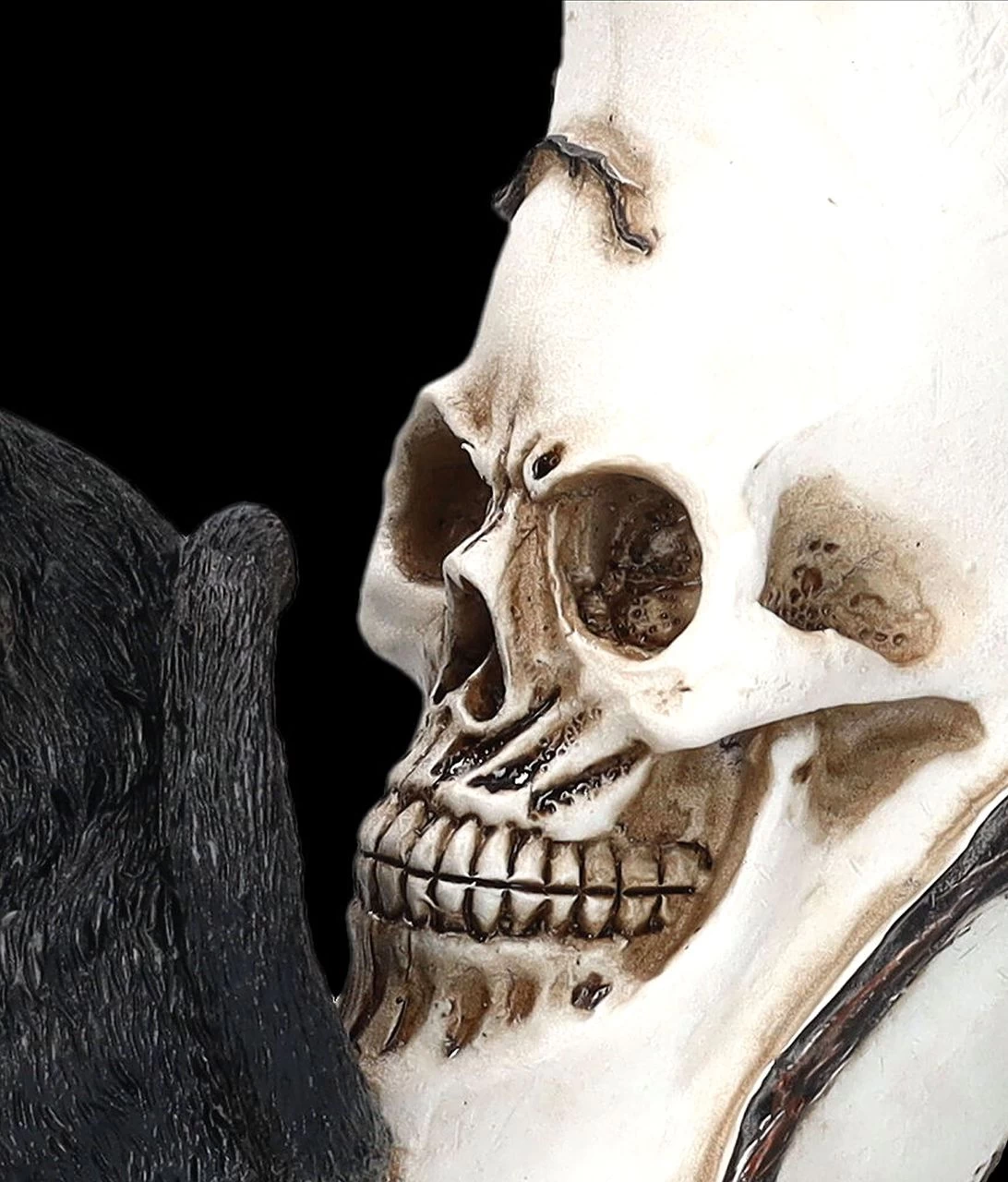 Totenkopf Mond Mit Schwarzer Katze 7 Totenkopf Mond Mit Schwarzer Katze – Bild 7