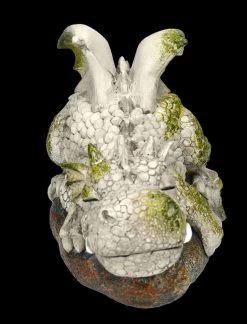 Gartenfigur Drache Sonnt Sich - Siesta 10 Gartenfigur Drache Sonnt Sich - Siesta -Modell Und Figurengeschäft FS24887 Gaartenfigur Drache sonnt sich Siesta 8 1280x1280