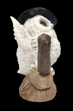 Eulen Figur Reitet Auf Hexenbesen 9 Eulen Figur Reitet Auf Hexenbesen -Modell Und Figurengeschäft FS24898 Eulen Figur reitet auf Hexenbesen 8 1280x1280