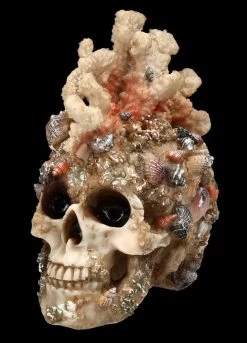 Totenkopf Figur Mit Korallen Bewachsen 9 Totenkopf Figur Mit Korallen Bewachsen -Modell Und Figurengeschäft FS24902 Totenkopf Figur mit Korallen bewachsen 2 1280x1280