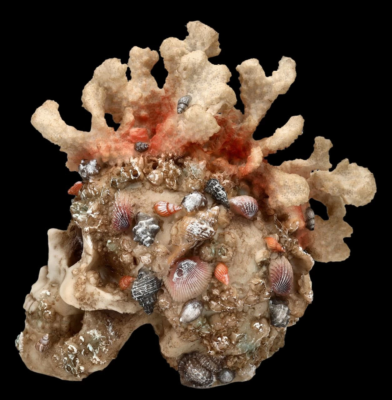 Totenkopf Figur Mit Korallen Bewachsen 4 Totenkopf Figur Mit Korallen Bewachsen – Bild 4