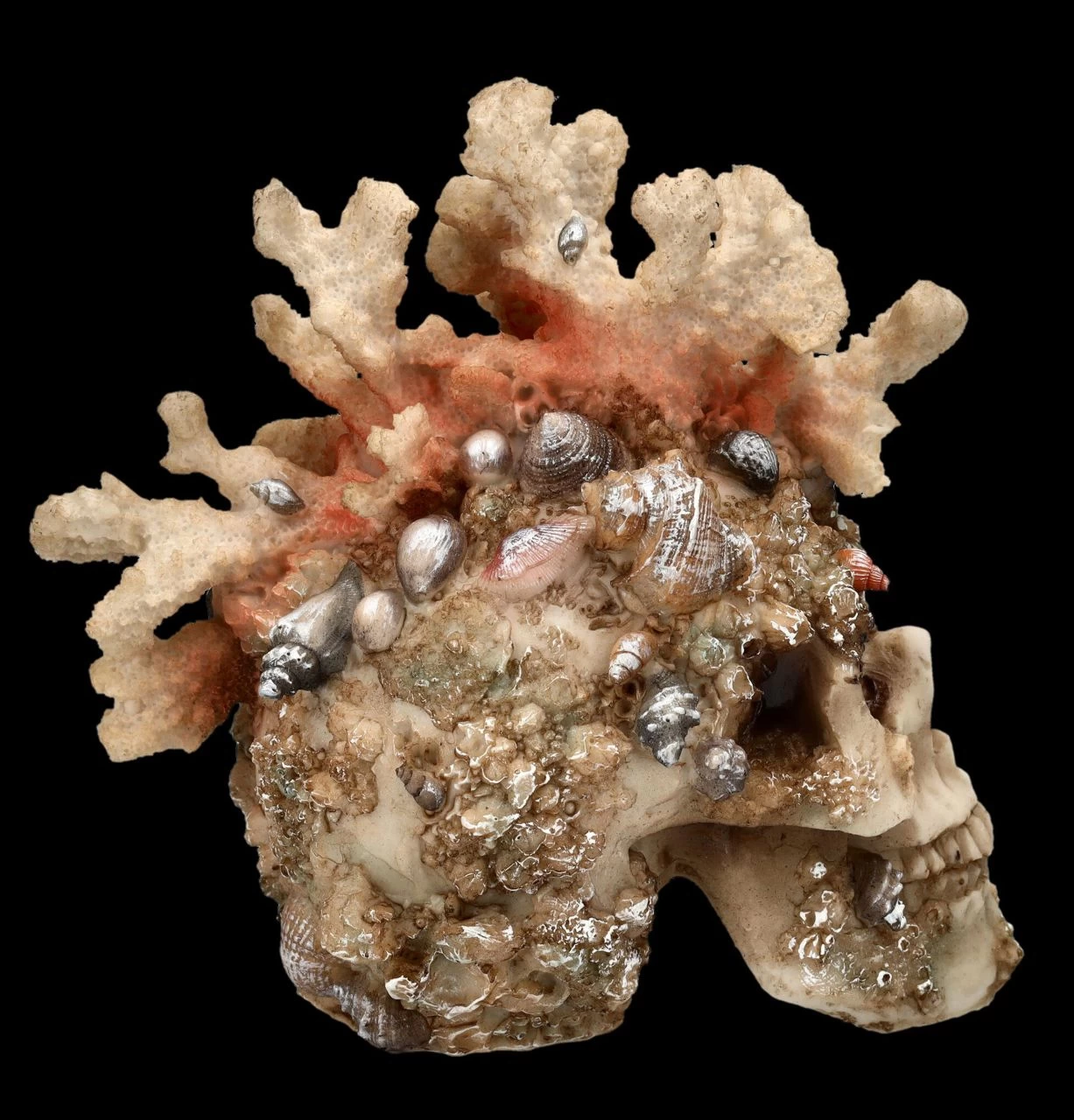 Totenkopf Figur Mit Korallen Bewachsen 6 Totenkopf Figur Mit Korallen Bewachsen – Bild 6