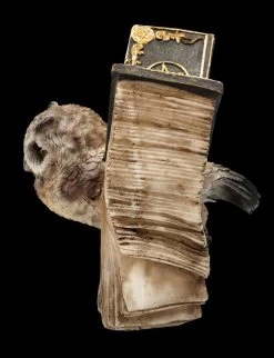 Eulen Figur Braun - Botschafterin Mit Buchflügeln 11 Eulen Figur Braun - Botschafterin Mit Buchflügeln -Modell Und Figurengeschäft FS25623 Eulen Figur braun Botschafter mit Buchfl geln 4 1280x1280