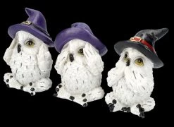 Eulenfiguren 3er Set - Schneeeulen Nichts Böses 11 Eulenfiguren 3er Set - Schneeeulen Nichts Böses -Modell Und Figurengeschäft FS25719 Eulenfiguren 3er Set Schneeeulen Nichts B ses 2 1280x1280