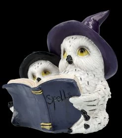 Eulen Figur - Magische Gute Nacht Geschichte -Modell Und Figurengeschäft FS25996 Eulen Figur Magische Gute Nacht Geschichte 2 1280x1280