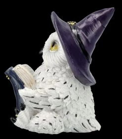 Eulen Figur - Magische Gute Nacht Geschichte -Modell Und Figurengeschäft FS25996 Eulen Figur Magische Gute Nacht Geschichte 4 1280x1280