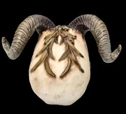 Totenkopf Figur Mit Hörnern - Diablo Skull -Modell Und Figurengeschäft FS26190 Totenkopf Figur mit H rnern Diablo Skull 6 1280x1280