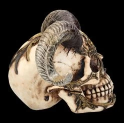 Totenkopf Figur Mit Hörnern - Diablo Skull -Modell Und Figurengeschäft FS26190 Totenkopf Figur mit H rnern Diablo Skull 8 1280x1280