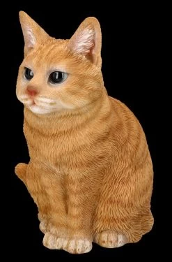 Katzenfigur - Getigerter Kater -Modell Und Figurengeschäft FS26283 Katzen Figur Getigerter Kater 2 1280x1280