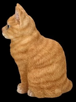 Katzenfigur - Getigerter Kater -Modell Und Figurengeschäft FS26283 Katzen Figur Getigerter Kater 4 1280x1280