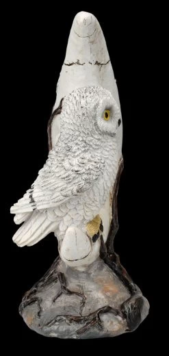 Totenkopf Mond Mit Eule LED -Modell Und Figurengeschäft FS26331 Totenkopf Mond mit Eule LED 8 1280x1280