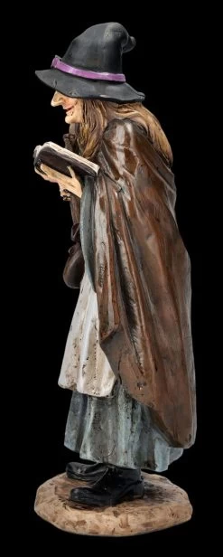 Hexen Figur Mit Rabe Und Zauberbuch -Modell Und Figurengeschäft FS26547 Hexen Figur mit Rabe und Zauberbuch 4 1280x1280