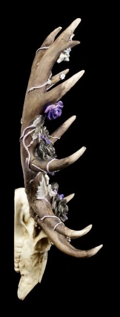 NEMESIS NOW Wandrelief Geweih - Antlers Of Eden -Modell Und Figurengeschäft Geweih Wandrelief Antlers Of Eden 2 1280x1280