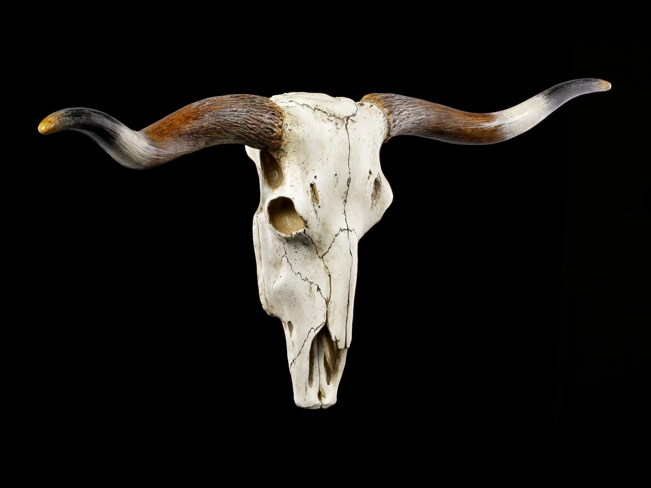 Großes Wandrelief - Büffel Schädel 2 Großes Wandrelief - Büffel Schädel – Bild 2