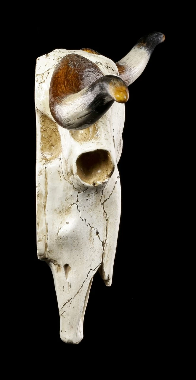 Großes Wandrelief - Büffel Schädel 3 Großes Wandrelief - Büffel Schädel – Bild 3