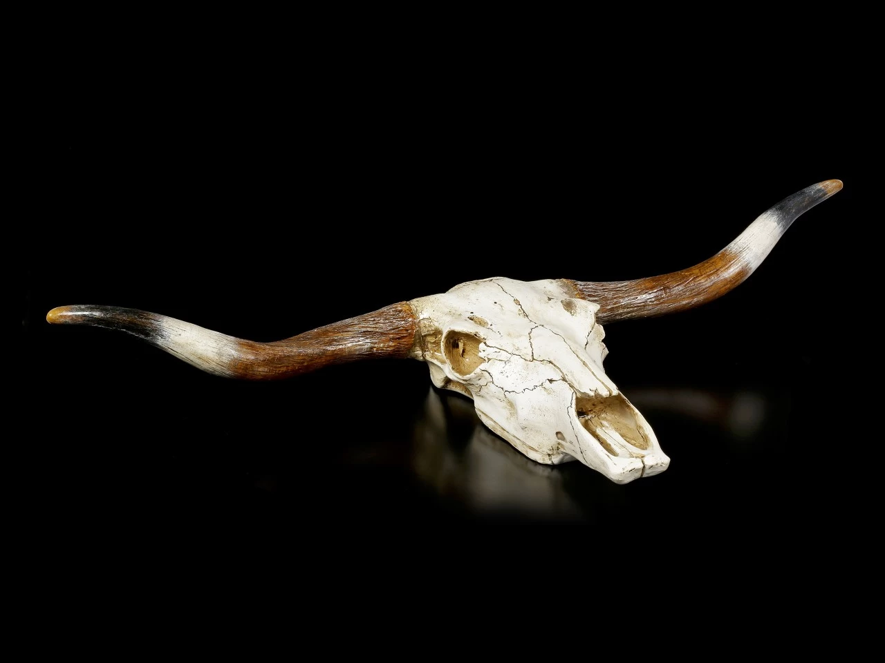 Großes Wandrelief - Büffel Schädel 4 Großes Wandrelief - Büffel Schädel – Bild 4