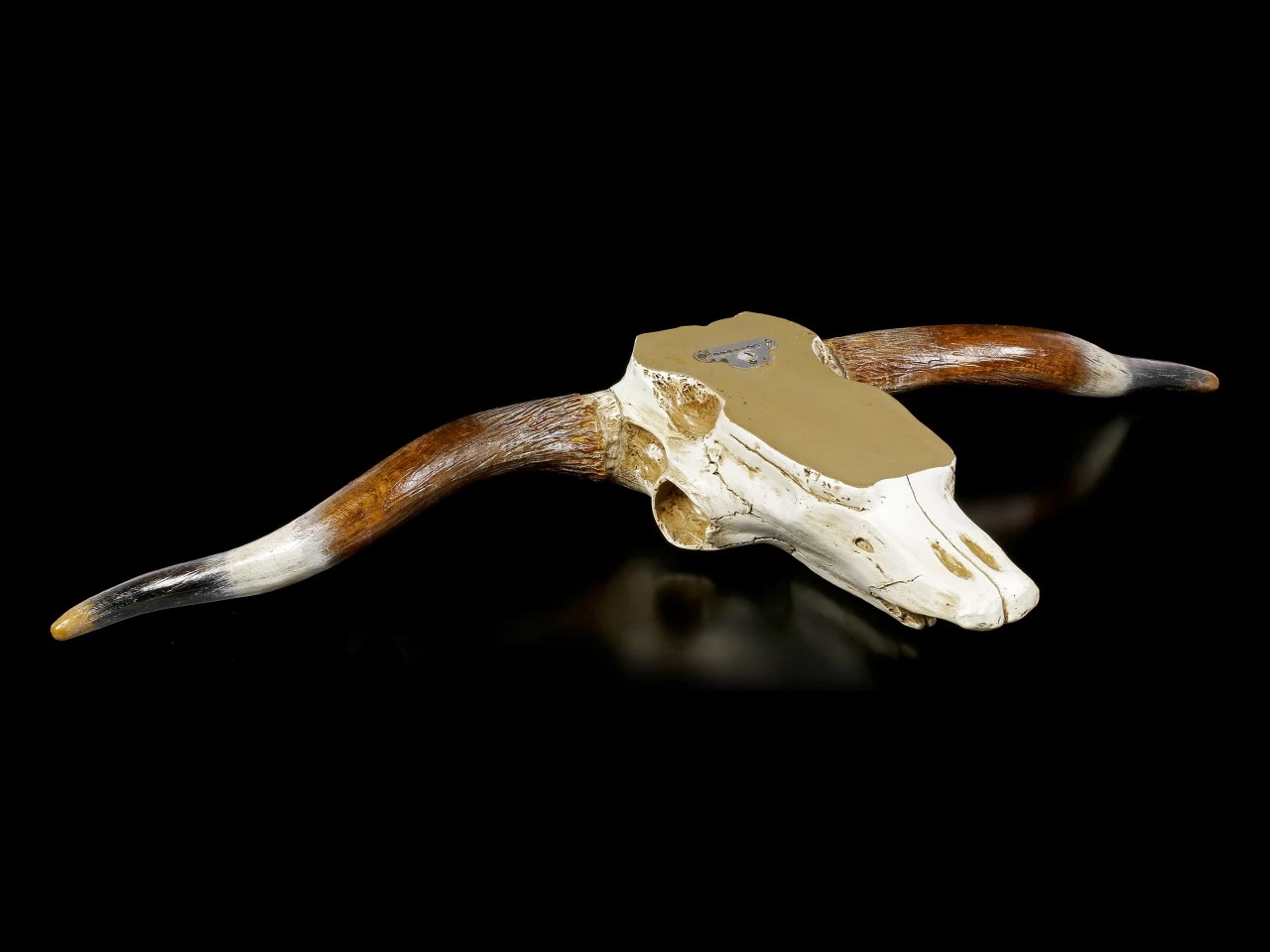 Großes Wandrelief - Büffel Schädel 5 Großes Wandrelief - Büffel Schädel – Bild 5