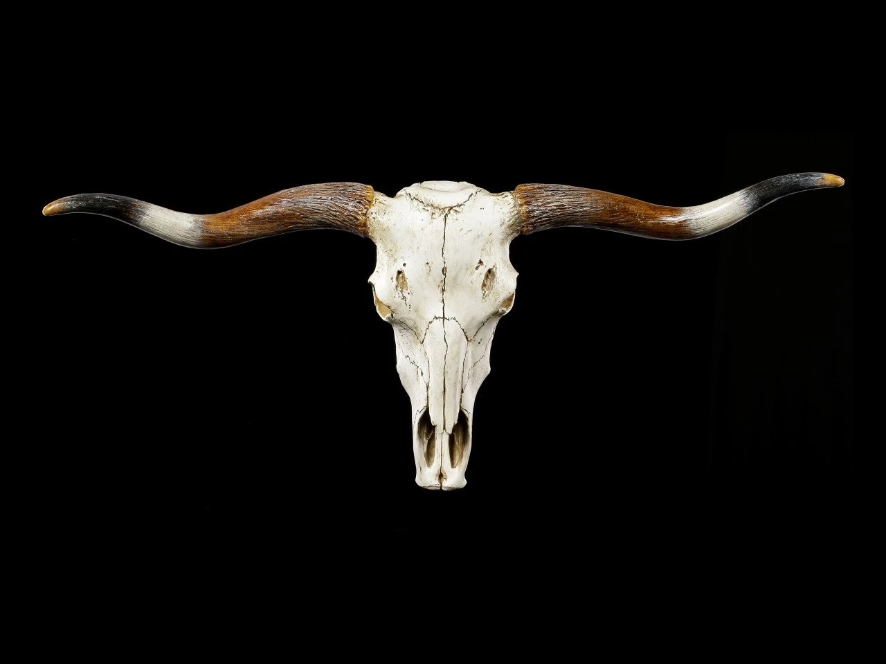 Großes Wandrelief - Büffel Schädel 1 Großes Wandrelief - Büffel Schädel