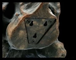 Totenkopf - Tyrannosaurus Rex - Mittel -Modell Und Figurengeschäft ML11828 Totenkopf Tyrannosaurus Rex mittel 9 1280x1280