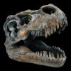 Totenkopf - Tyrannosaurus Rex - Klein