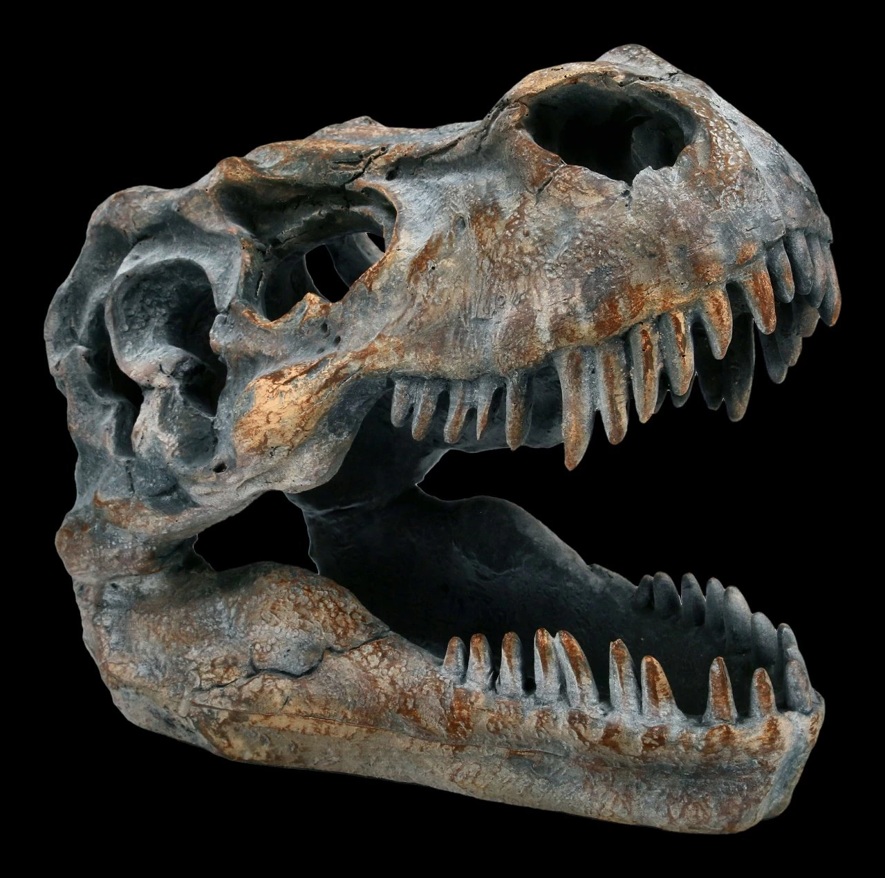 Totenkopf - Tyrannosaurus Rex - Klein 1 Totenkopf - Tyrannosaurus Rex - Klein