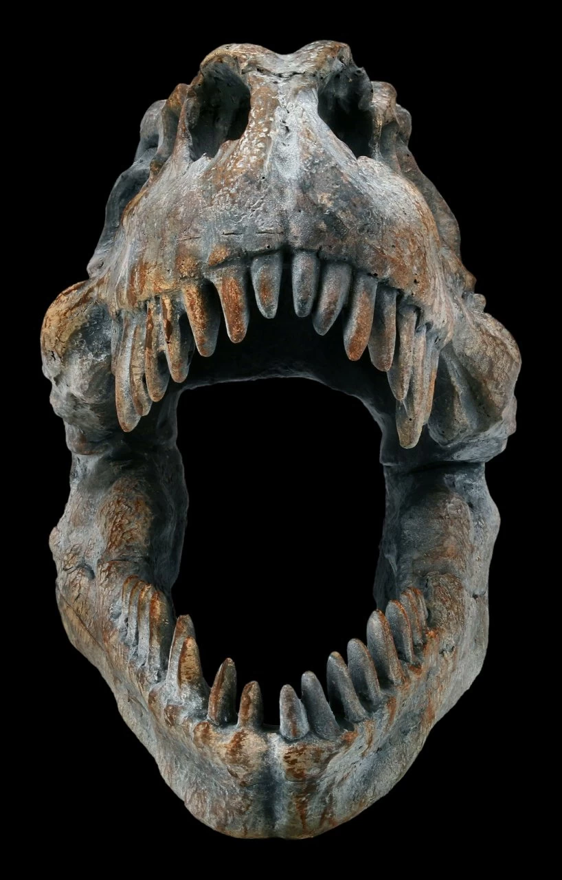 Totenkopf - Tyrannosaurus Rex - Klein 2 Totenkopf - Tyrannosaurus Rex - Klein – Bild 2