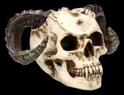 Teufelskopf Mit Widderhörnern