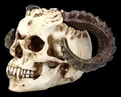 Teufelskopf Mit Widderhörnern 7 Teufelskopf Mit Widderhörnern -Modell Und Figurengeschäft ML1799 Teufelskopf mit Widderhoernern 3 1280x1280