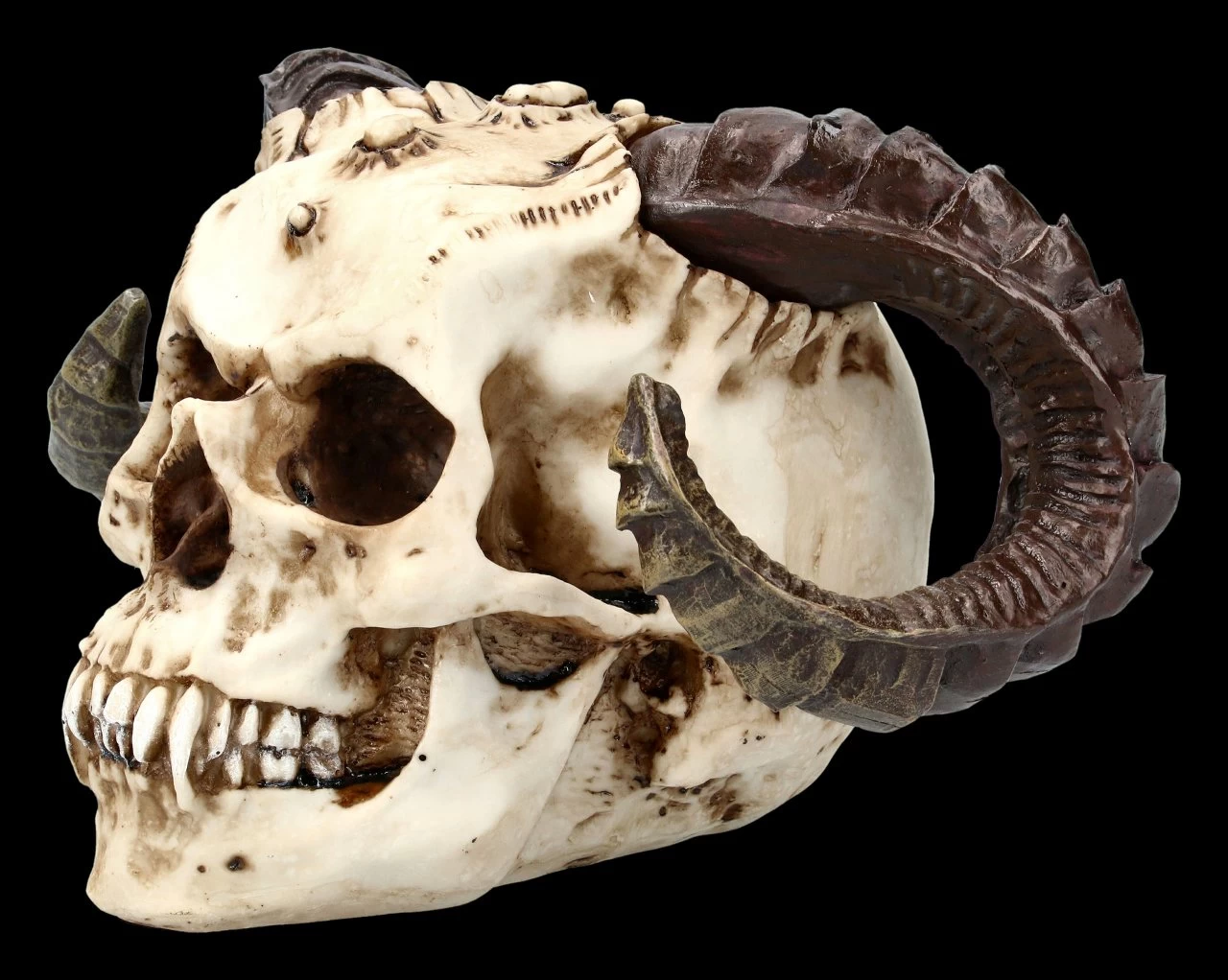 Teufelskopf Mit Widderhörnern 3 Teufelskopf Mit Widderhörnern – Bild 3