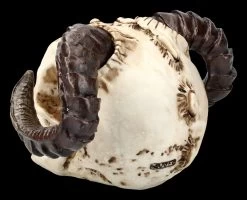 Teufelskopf Mit Widderhörnern 8 Teufelskopf Mit Widderhörnern -Modell Und Figurengeschäft ML1799 Teufelskopf mit Widderhoernern 5 1280x1280