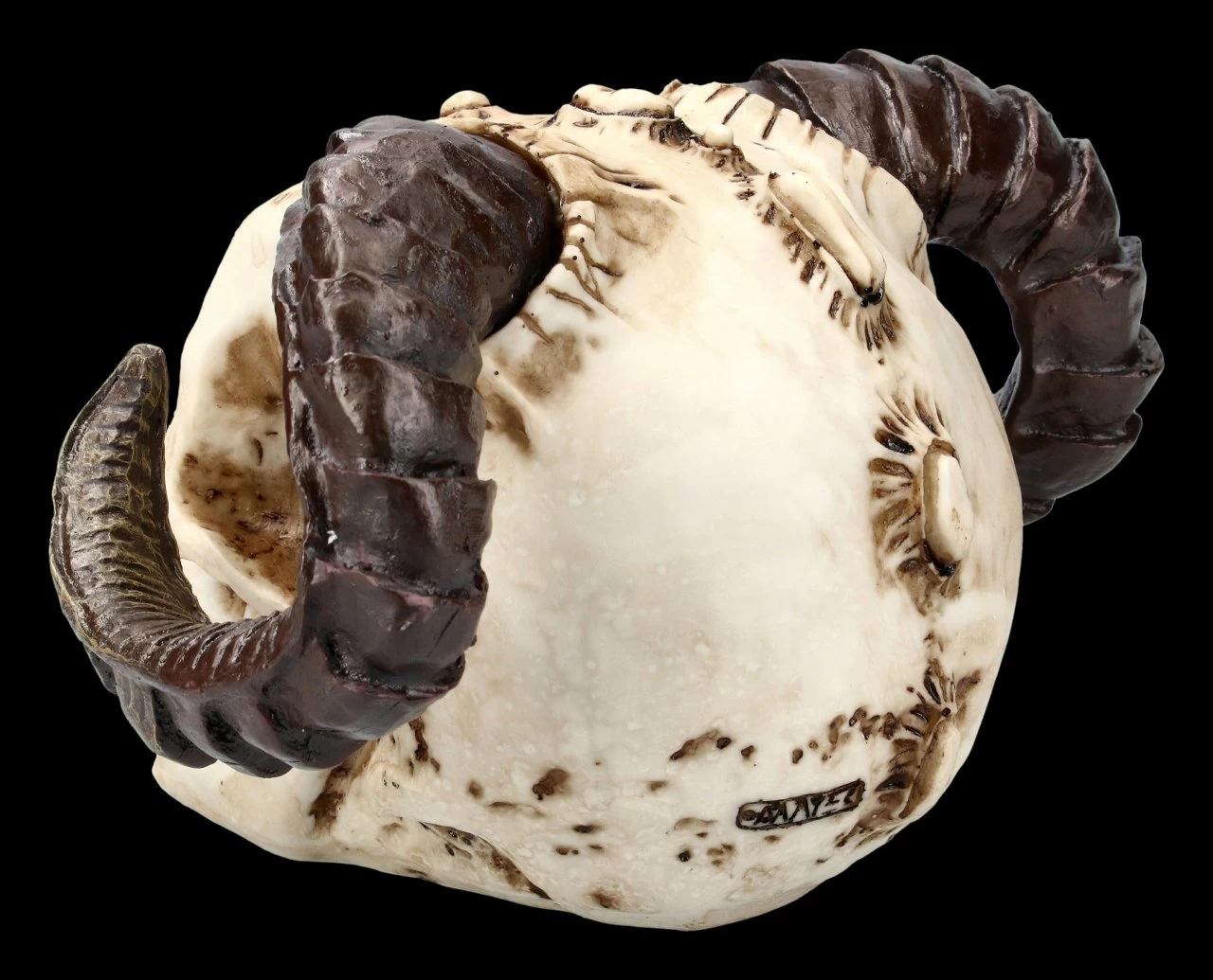 Teufelskopf Mit Widderhörnern 4 Teufelskopf Mit Widderhörnern – Bild 4