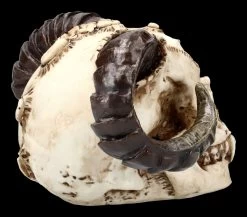 Teufelskopf Mit Widderhörnern 9 Teufelskopf Mit Widderhörnern -Modell Und Figurengeschäft ML1799 Teufelskopf mit Widderhoernern 8 1280x1280