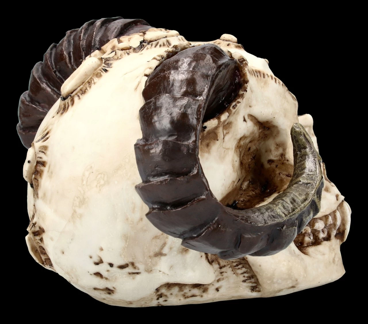 Teufelskopf Mit Widderhörnern 5 Teufelskopf Mit Widderhörnern – Bild 5