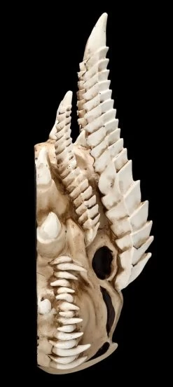 Wandrelief - Drachen Totenkopf Kryss -Modell Und Figurengeschäft ML6578 Drachen Totenkopf Wanddeko 5 1280x1280