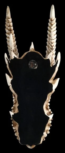 Wandrelief - Drachen Totenkopf Kryss -Modell Und Figurengeschäft ML6578 Drachen Totenkopf Wanddeko 6 1280x1280