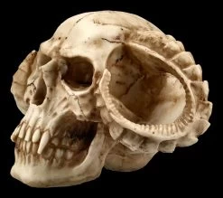 Totenkopf - Gehörnter Teufel -Modell Und Figurengeschäft ML8756 Totenkopf Gehoernter Teufel 3 1280x1280